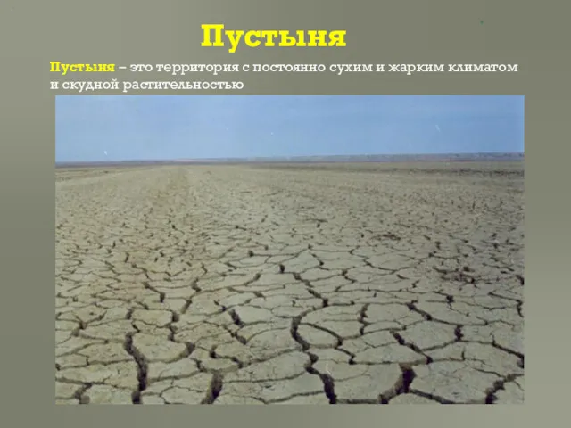 Пустыня Пустыня – это территория с постоянно сухим и жарким климатом и скудной растительностью