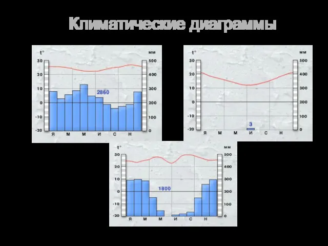 Климатические диаграммы Экваториальный тип климата Тропический тип климата Субэкваториальный тип