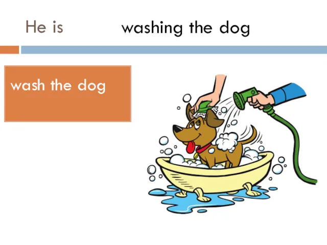 He is wash the dog washing the dog