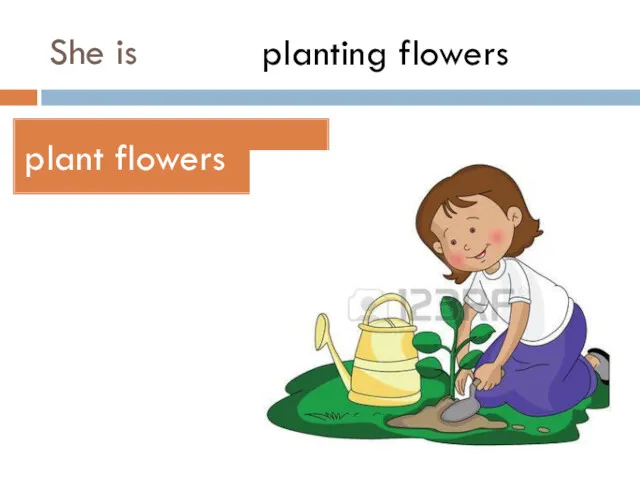 She is plant flowers planting flowers