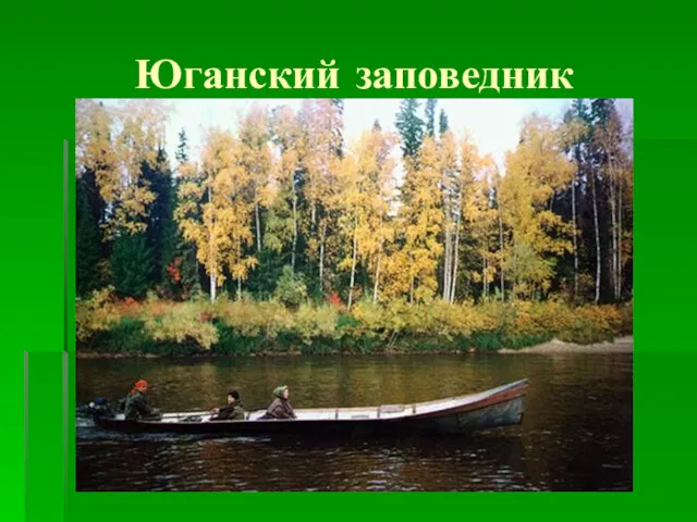 Юганский заповедник