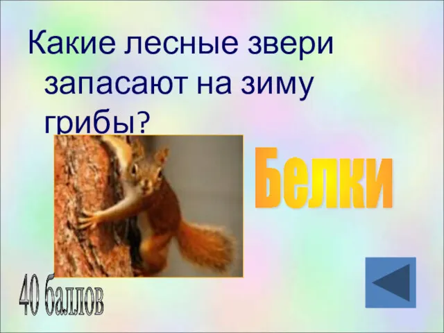 Какие лесные звери запасают на зиму грибы? Белки 40 баллов