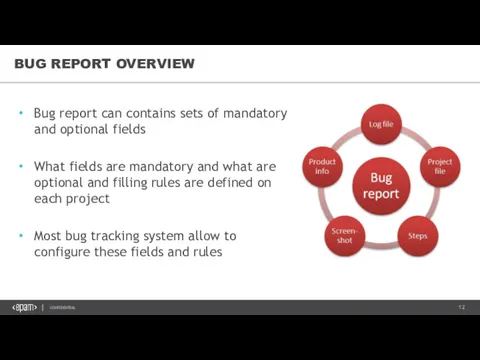 BUG REPORT OVERVIEW Bug report can contains sets of mandatory