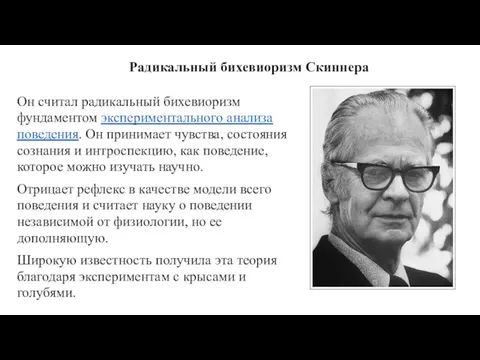 Радикальный бихевиоризм Скиннера Он считал радикальный бихевиоризм фундаментом экспериментального анализа