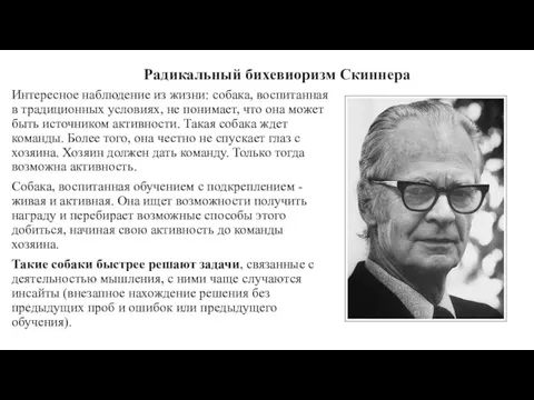 Радикальный бихевиоризм Скиннера Интересное наблюдение из жизни: собака, воспитанная в традиционных условиях, не