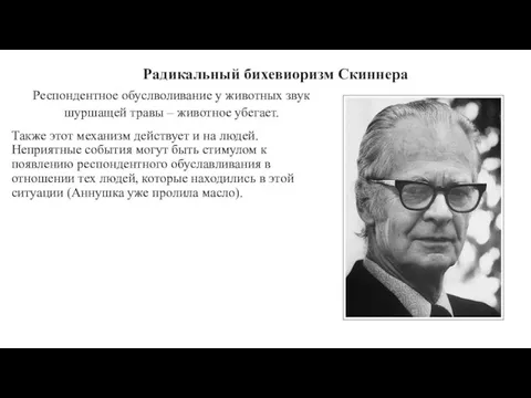 Радикальный бихевиоризм Скиннера Респондентное обуслволивание у животных звук шуршащей травы