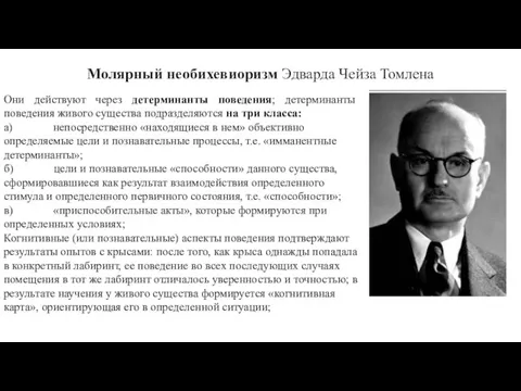 Молярный необихевиоризм Эдварда Чейза Томлена Они действуют через детерминанты поведения; детерминанты поведения живого