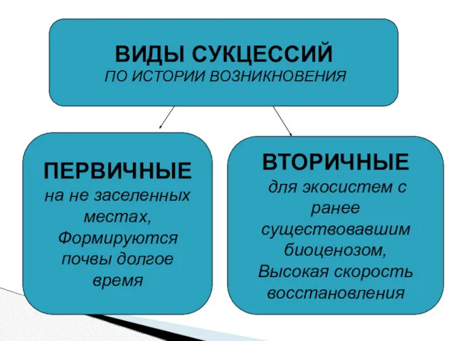 ВИДЫ СУКЦЕССИЙ ПО ИСТОРИИ ВОЗНИКНОВЕНИЯ ПЕРВИЧНЫЕ на не заселенных местах,