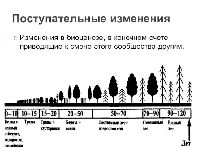 Изменения в биоценозе, в конечном счете приводящие к смене этого сообщества другим. Поступательные изменения