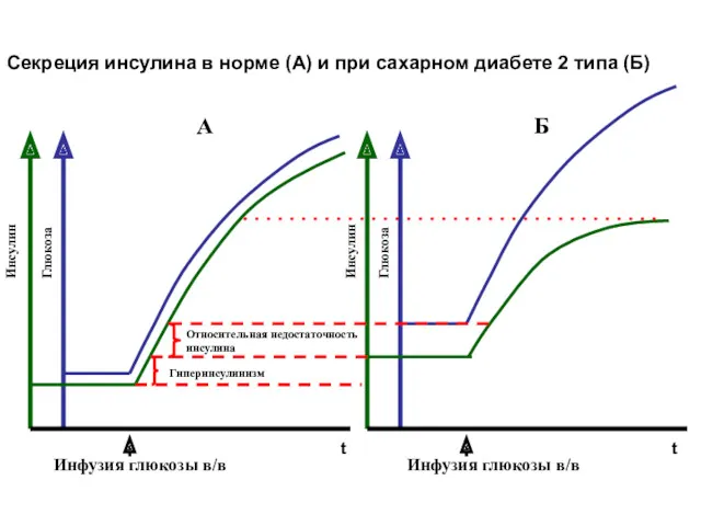 Инсулин Инсулин Глюкоза Глюкоза t t Инфузия глюкозы в/в Инфузия