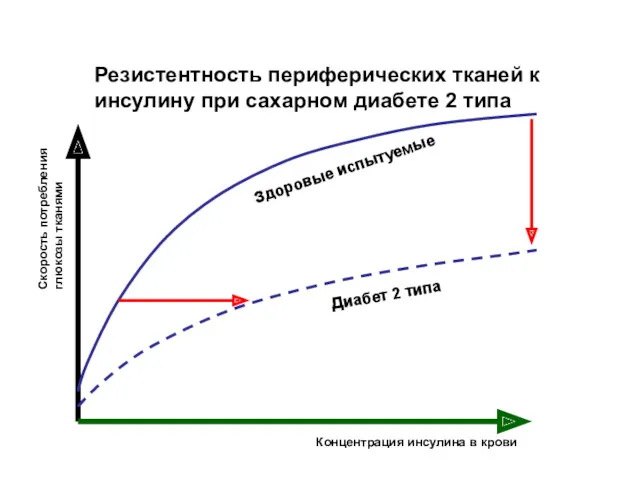 Скорость потребления глюкозы тканями Концентрация инсулина в крови Диабет 2