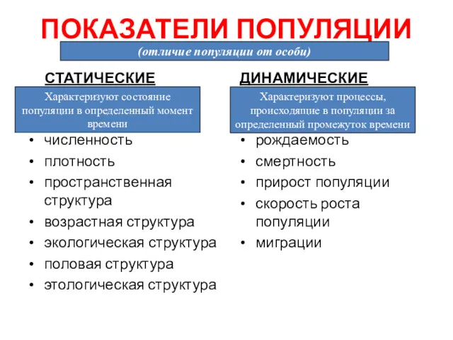 ПОКАЗАТЕЛИ ПОПУЛЯЦИИ СТАТИЧЕСКИЕ численность плотность пространственная структура возрастная структура экологическая