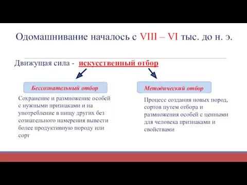 Одомашнивание началось с VIII – VI тыс. до н. э.