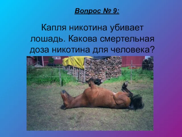 Вопрос № 9: Капля никотина убивает лошадь. Какова смертельная доза никотина для человека?