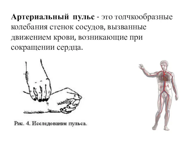 Артериальный пульс - это толчкообразные колебания стенок сосудов, вызванные движением крови, возникающие при сокращении сердца.