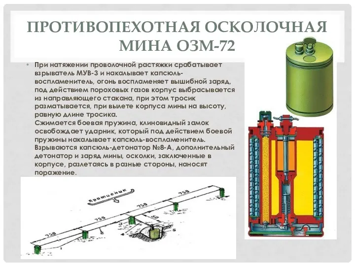 ПРОТИВОПЕХОТНАЯ ОСКОЛОЧНАЯ МИНА ОЗМ-72 При натяжении проволочной растяжки срабатывает взрыватель