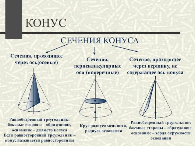 КОНУС СЕЧЕНИЯ КОНУСА Сечения, проходящее через ось(осевые) Сечения, перпендикулярные оси