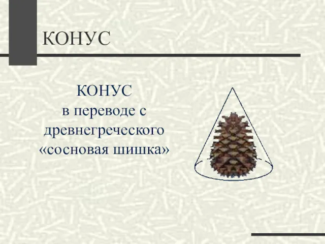 КОНУС КОНУС в переводе с древнегреческого «сосновая шишка»