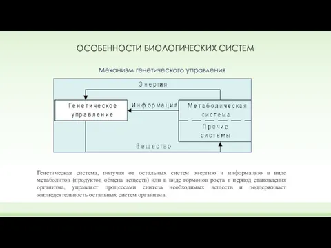 ОСОБЕННОСТИ БИОЛОГИЧЕСКИХ СИСТЕМ Механизм генетического управления Генетическая система, получая от остальных систем энергию