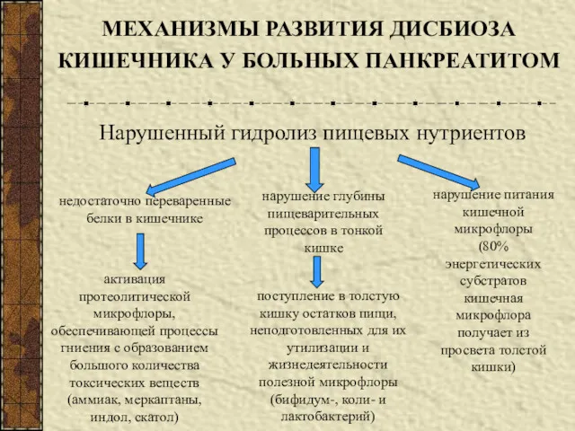 МЕХАНИЗМЫ РАЗВИТИЯ ДИСБИОЗА КИШЕЧНИКА У БОЛЬНЫХ ПАНКРЕАТИТОМ Нарушенный гидролиз пищевых