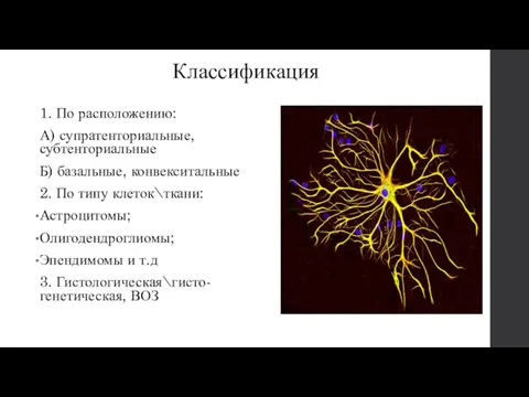 Классификация 1. По расположению: А) супратенториальные, субтенториальные Б) базальные, конвекситальные