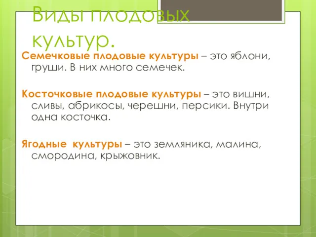 Виды плодовых культур. Семечковые плодовые культуры – это яблони, груши. В них много