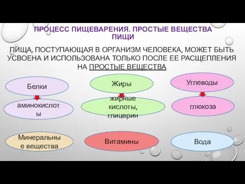 ПРОЦЕСС ПИЩЕВАРЕНИЯ. ПРОСТЫЕ ВЕЩЕСТВА ПИЩИ Белки Жиры Углеводы Вода Минеральные