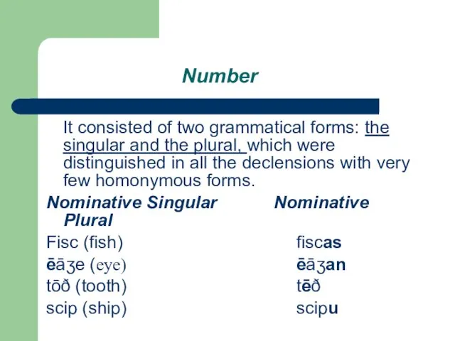 Number It consisted of two grammatical forms: the singular and