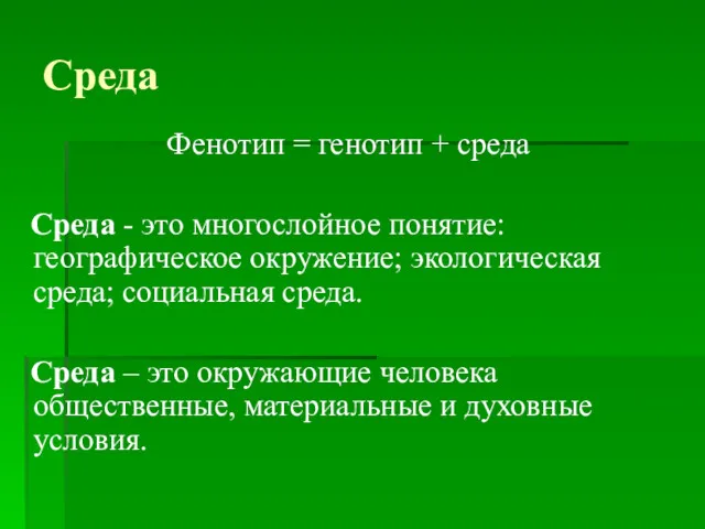 Среда Фенотип = генотип + среда Среда - это многослойное