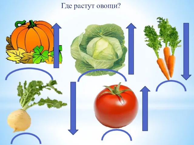 Где растут овощи?