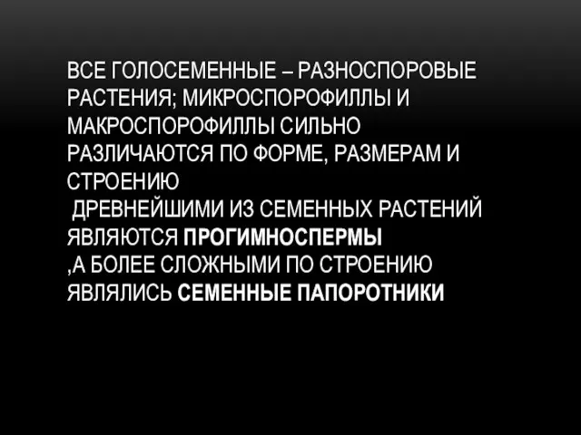 ВСЕ ГОЛОСЕМЕННЫЕ – РАЗНОСПОРОВЫЕ РАСТЕНИЯ; МИКРОСПОРОФИЛЛЫ И МАКРОСПОРОФИЛЛЫ СИЛЬНО РАЗЛИЧАЮТСЯ