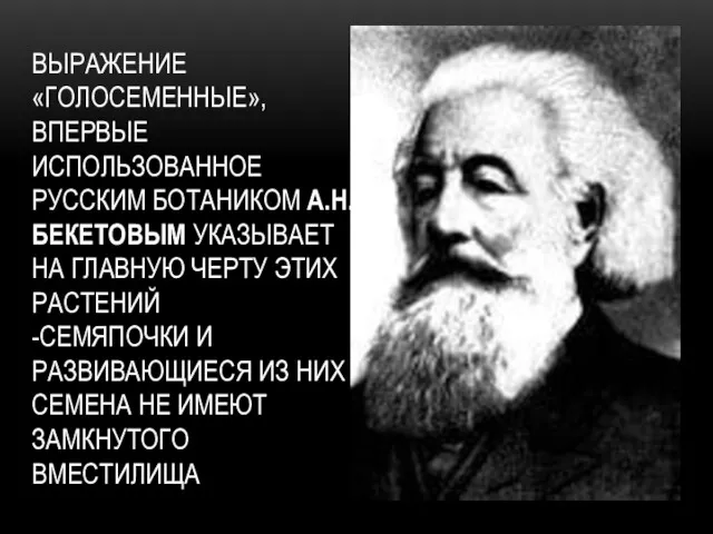 ВЫРАЖЕНИЕ «ГОЛОСЕМЕННЫЕ», ВПЕРВЫЕ ИСПОЛЬЗОВАННОЕ РУССКИМ БОТАНИКОМ А.Н.БЕКЕТОВЫМ УКАЗЫВАЕТ НА ГЛАВНУЮ