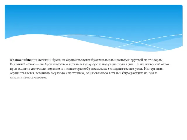 Кровоснабжение легких и бронхов осуществляется бронхиальными ветвями грудной части аорты.