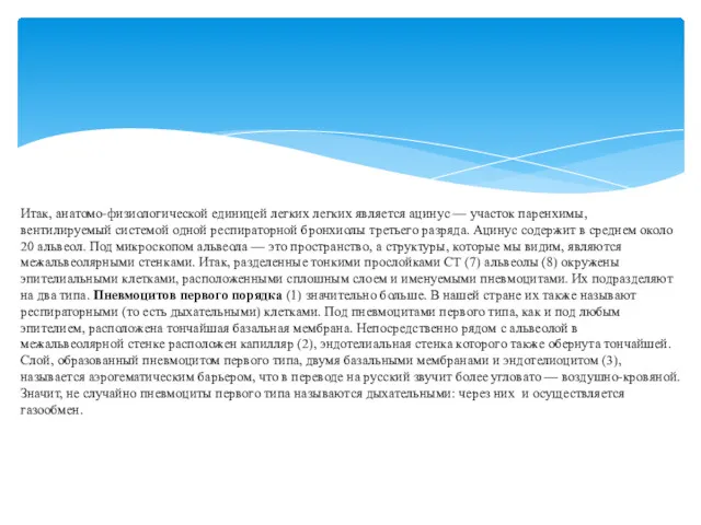 Итак, анатомо-физиологической единицей легких легких является ацинус — участок паренхимы,