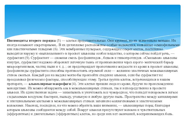 Пневмоциты второго порядка (5) — клетки представительные. Они крупнее, но