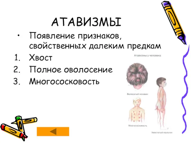 АТАВИЗМЫ Появление признаков, свойственных далеким предкам Хвост Полное оволосение Многососковость