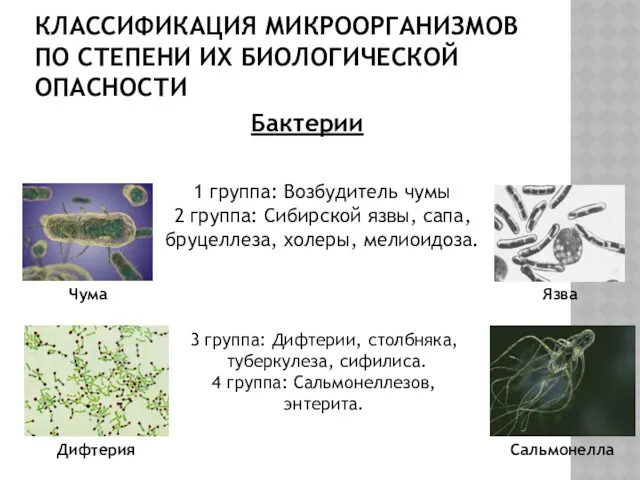 КЛАССИФИКАЦИЯ МИКРООРГАНИЗМОВ ПО СТЕПЕНИ ИХ БИОЛОГИЧЕСКОЙ ОПАСНОСТИ 1 группа: Возбудитель