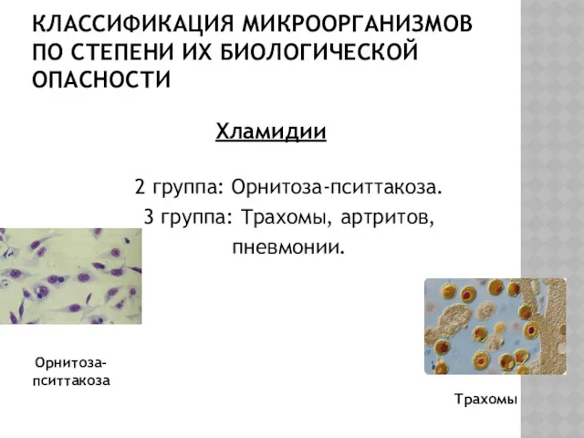 КЛАССИФИКАЦИЯ МИКРООРГАНИЗМОВ ПО СТЕПЕНИ ИХ БИОЛОГИЧЕСКОЙ ОПАСНОСТИ 2 группа: Орнитоза-пситтакоза.