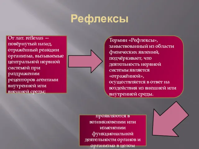 Рефлексы От лат. reflexus — повёрнутый назад, отражённый реакции организма,