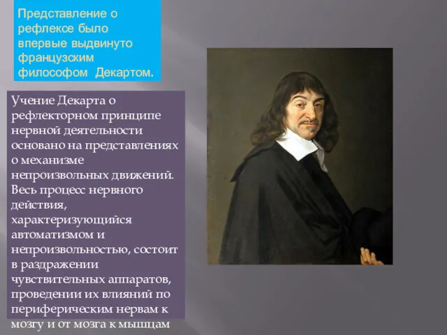 Представление о рефлексе было впервые выдвинуто французским философом Декартом. Учение