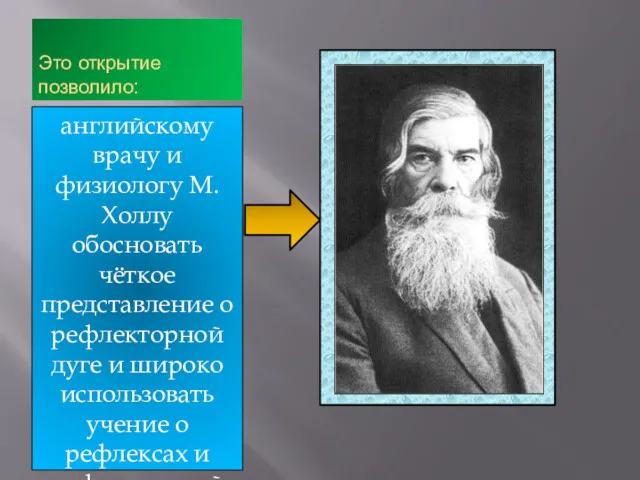 Это открытие позволило: английскому врачу и физиологу М.Холлу обосновать чёткое