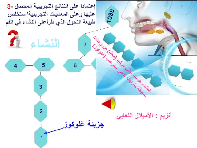 جزيئة غلوكوز أنزيم : الأميلاز اللعابي 3- إعتمادا على النتائج