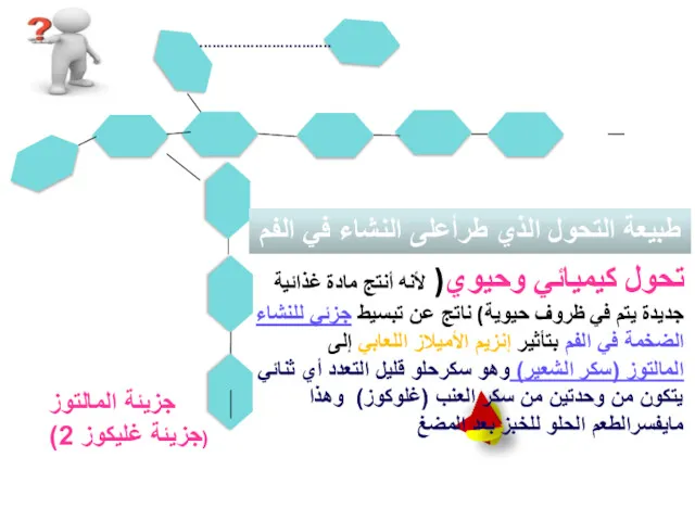 جزيئة المالتوز (2 جزيئة غليكوز) ............................... إضغط مرتين تحول كيميائي