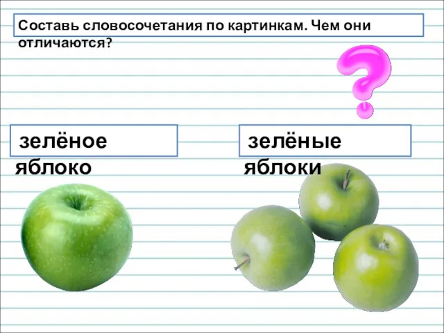 Составь словосочетания по картинкам. Чем они отличаются? зелёное яблоко зелёные яблоки