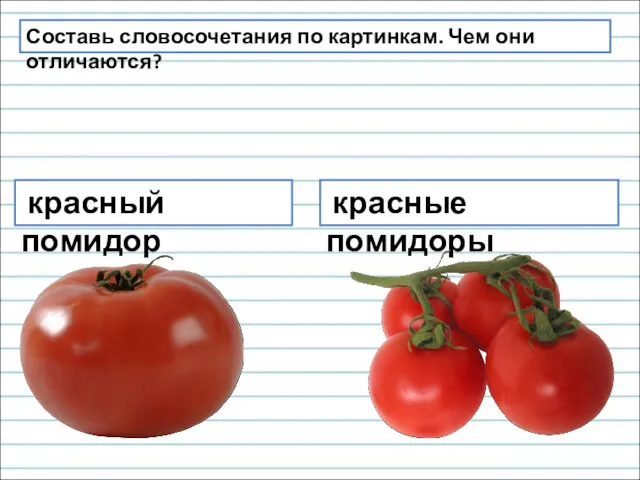 Составь словосочетания по картинкам. Чем они отличаются? красный помидор красные помидоры