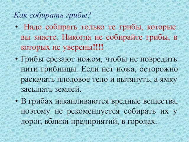 Как собирать грибы? Надо собирать только те грибы, которые вы