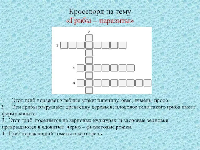 Кроссворд на тему «Грибы – паразиты» Этот гриб поражает хлебные