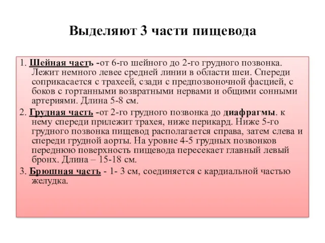 Выделяют 3 части пищевода 1. Шейная часть -от 6-го шейного до 2-го грудного