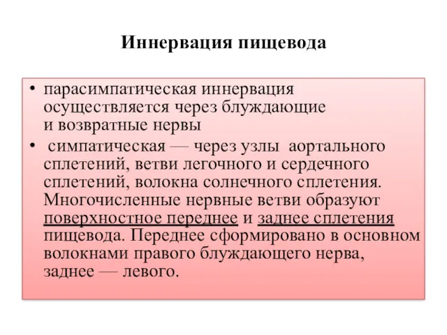 Иннервация пищевода парасимпатическая иннервация осуществляется через блуждающие и возвратные нервы