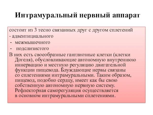 Интрамуральный нервный аппарат состоит из 3 тесно связанных друг с